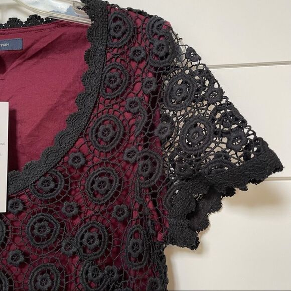 NWT FRENCH CONNECTION USA Hope Lace Dress size 4 - Picture 11 of 12